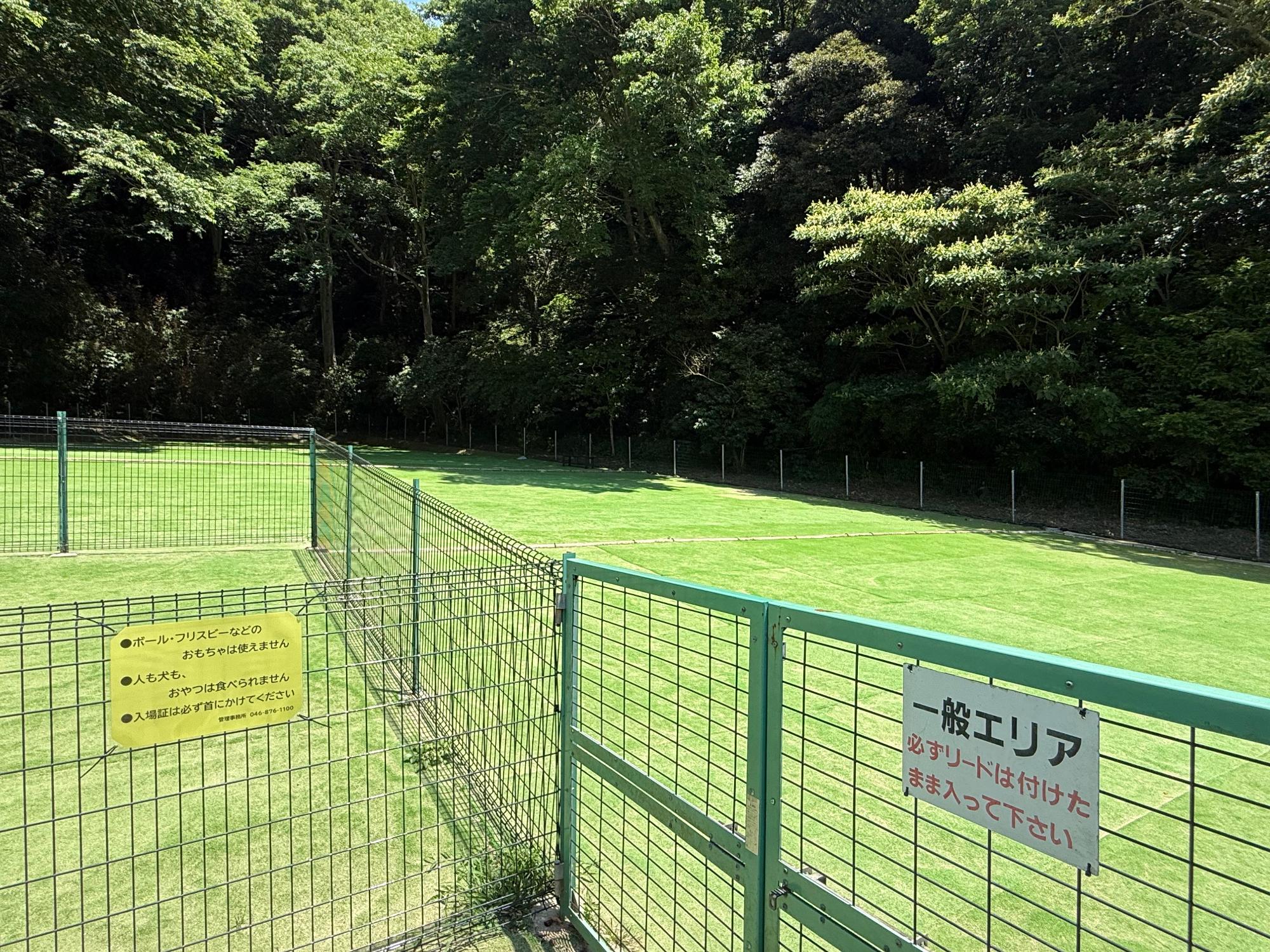 ドッグヤード一般エリア入口