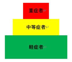 傷病者対応のピラミッド