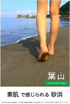 「ごみのない町葉山」をすすめるプロジェクト「HAYAMA VIEW向上委員会」の写真