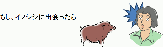 もし、イノシシに出会ったら…のイラスト画像