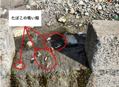 側溝等から流されてきたたばこの吸い殻の写真