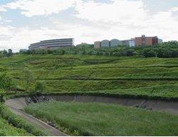 湘南国際村グリーンパークの緑広がる高台の建物を眺める写真