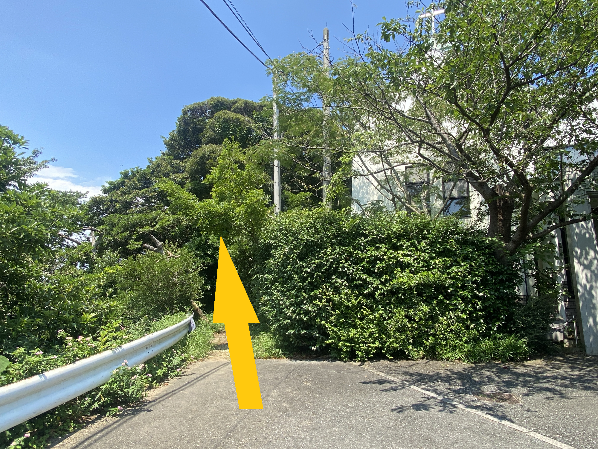 仙元山葉山教会コース入口案内