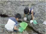 生物観察の写真