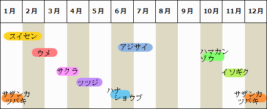 開花カレンダーのイラスト