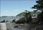 海岸からの眺めの写真