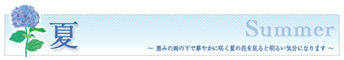 夏、恵みの雨の下で華やかに咲く夏の花を見ると明るい気分になりますと書かれたバナー