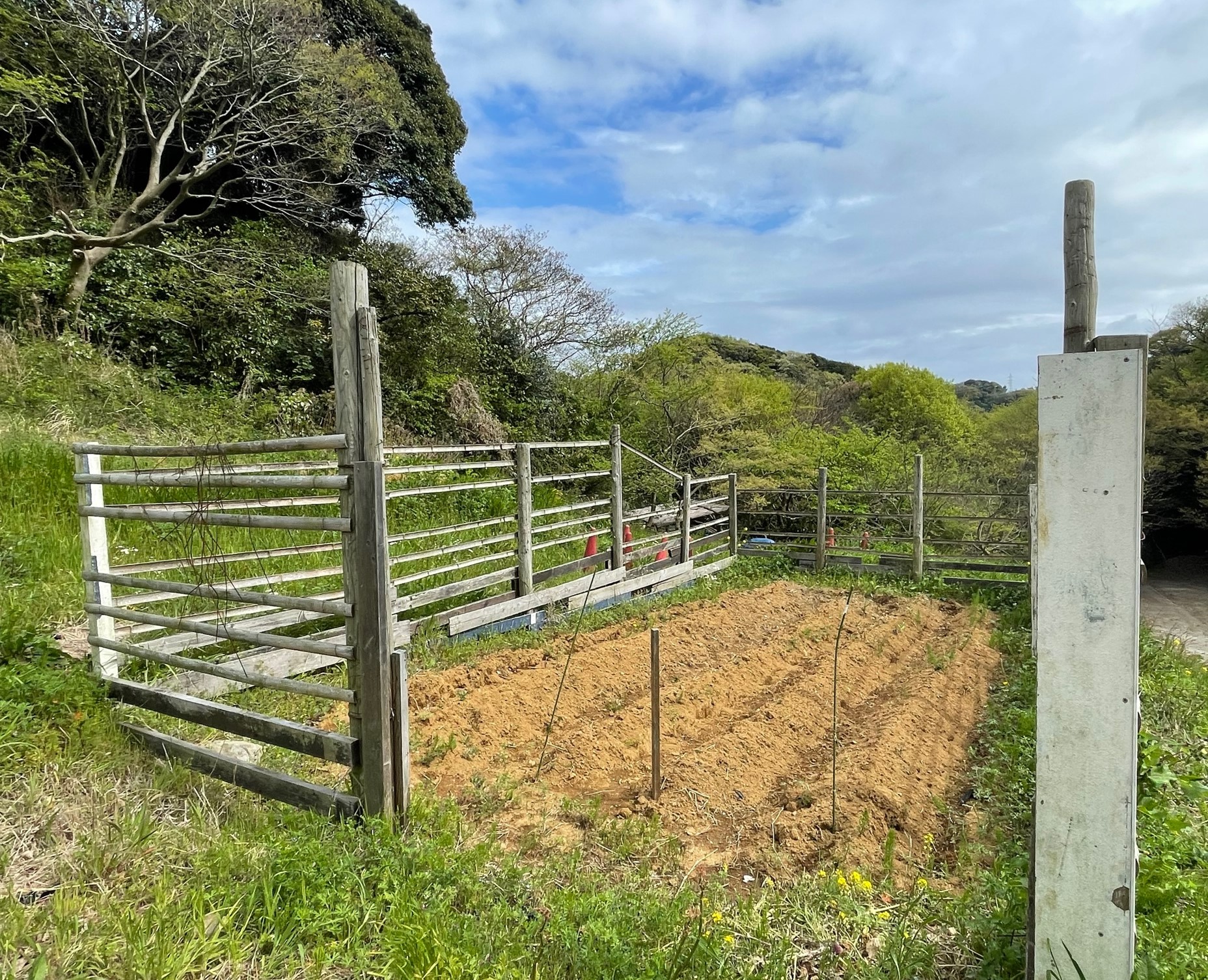 秘密基地畑