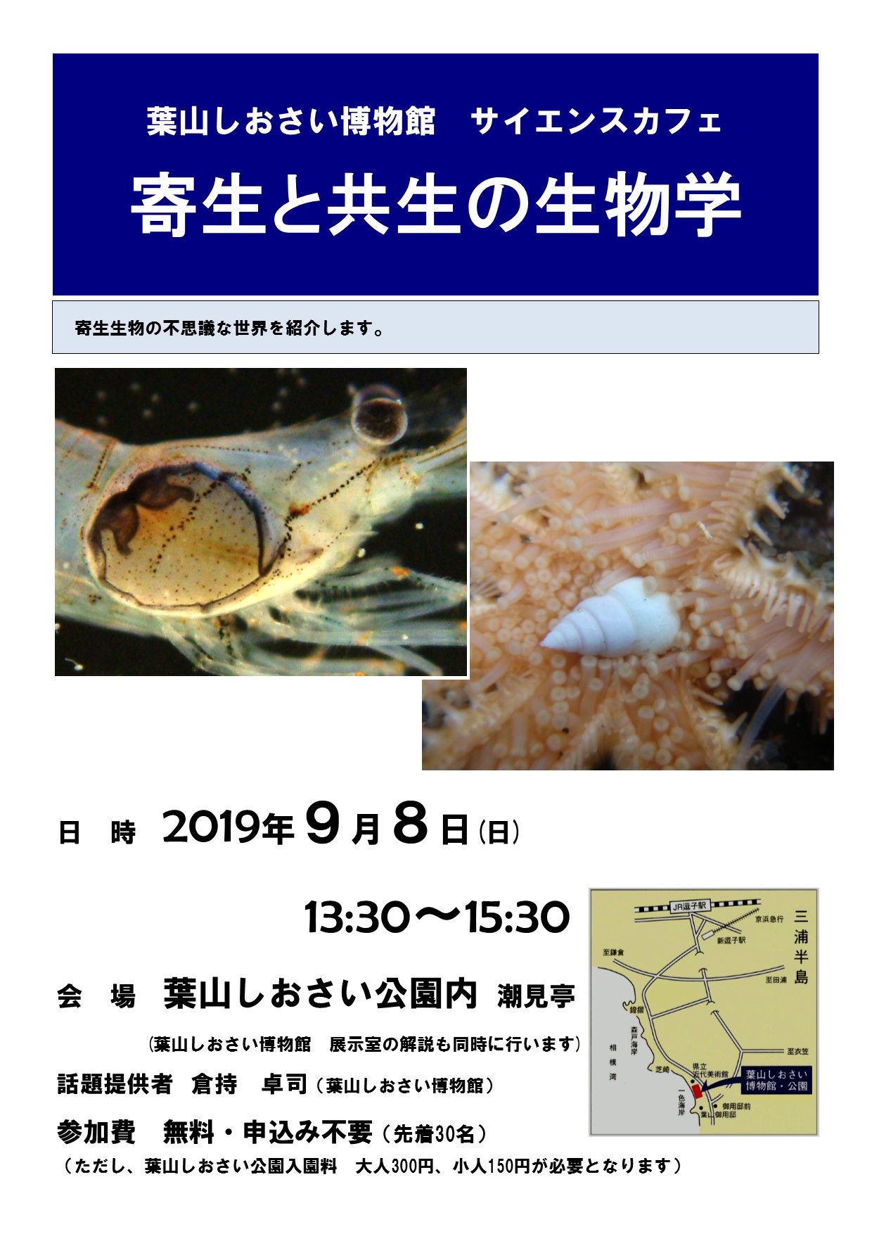 20190804shiosai