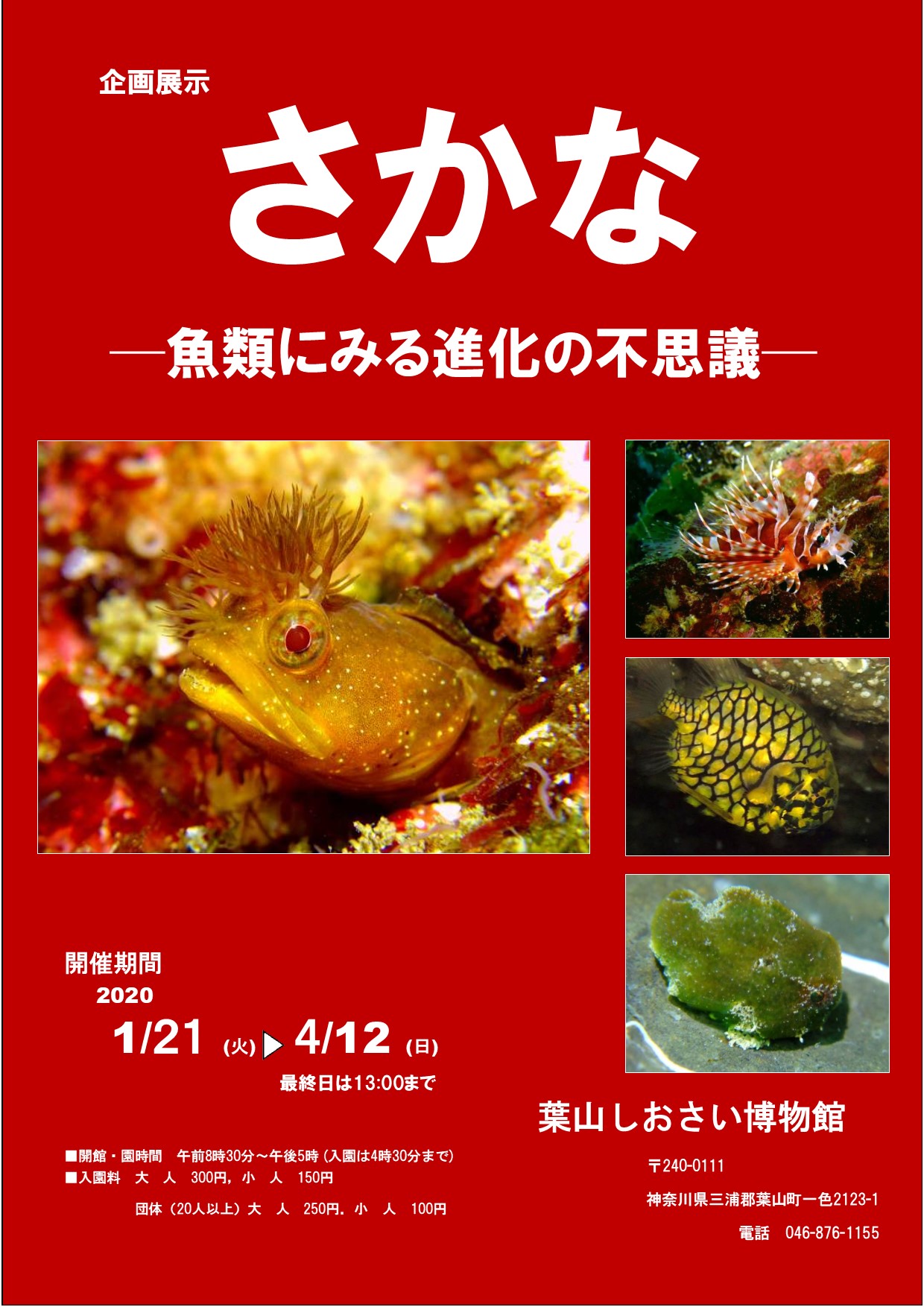 20200119shiosai