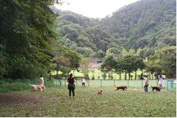 南郷上ノ山公園の写真