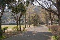 南郷上ノ山公園の写真