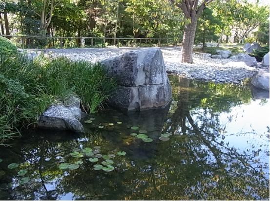 しおさい公園の池の写真