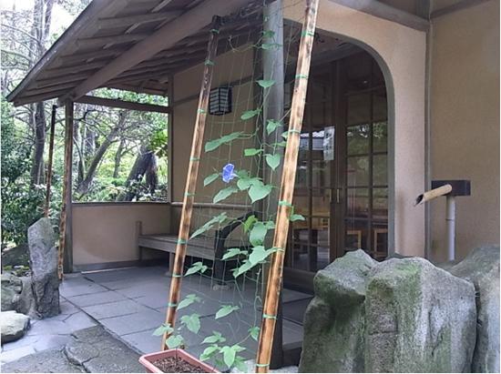 潮見亭のアサガオの写真