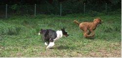 南郷上ノ山公園の写真