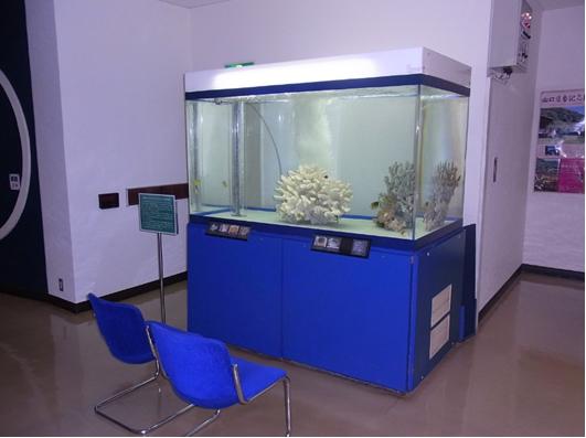 地下展示室の水槽の写真