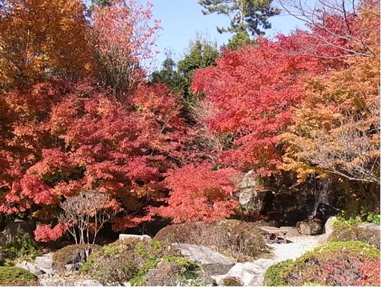 噴井の滝周辺のもみじの写真