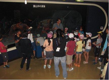 「葉山自然観察隊」の写真