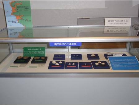 縄文時代の土器片、縄文時代の貝の化石の写真
