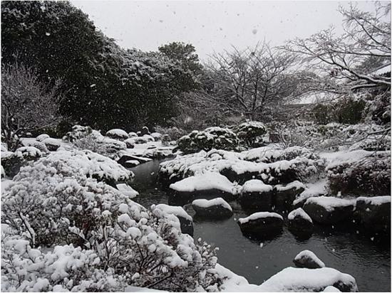雪景色の写真