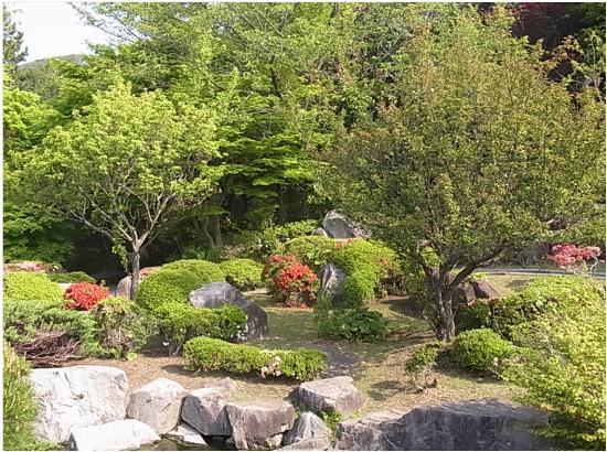 紅梅・白梅の写真