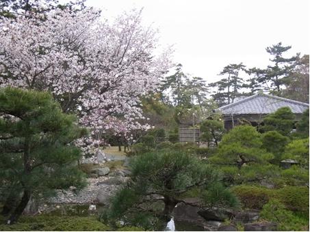 博物館からの美しい景色の写真