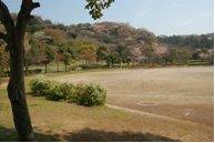 南郷上ノ山公園の写真