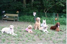 南郷上ノ山公園・ドッグヤードの写真