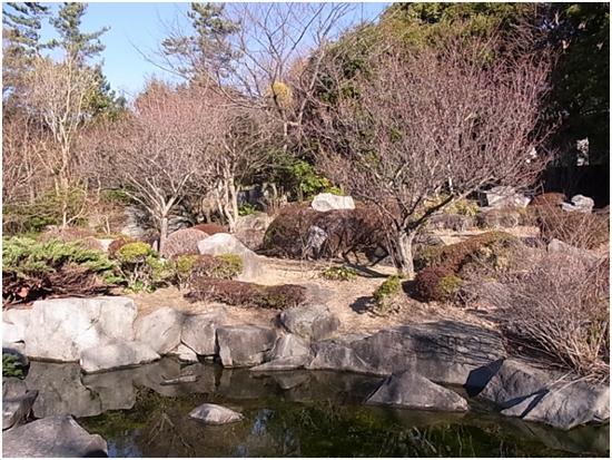 紅梅・白梅の写真