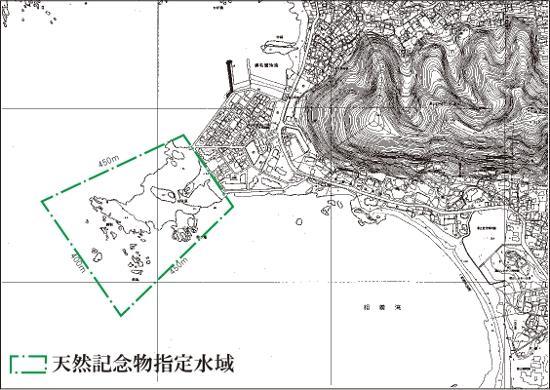 葉山町指定天然記念物の葉山芝崎海岸及び周辺水域(芝崎ナチュラルリザーブ)の写真