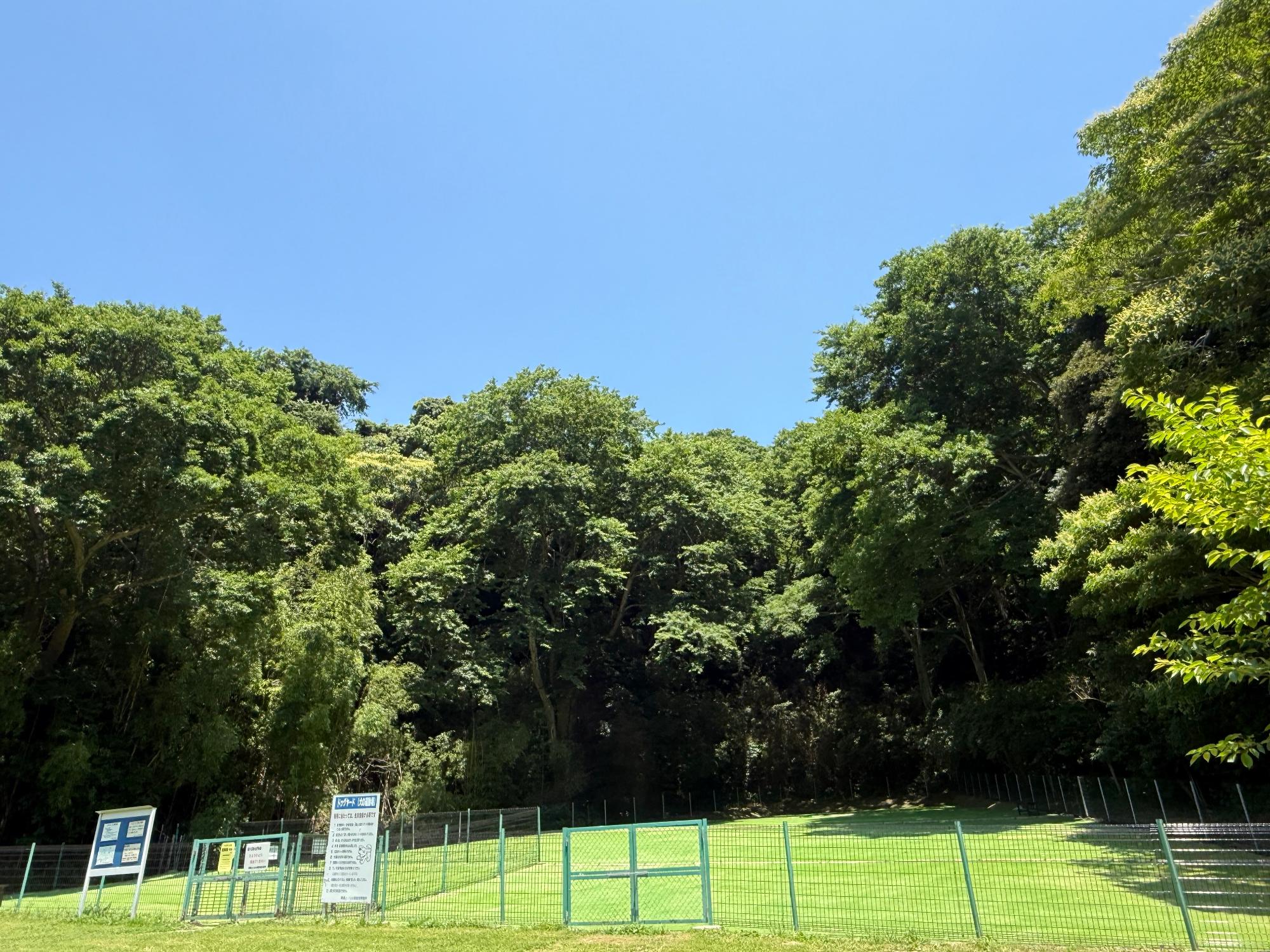 南郷上ノ山公園・ドッグヤードの写真
