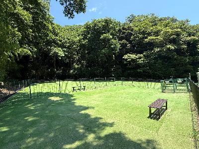 ドッグヤード(小型犬エリア)