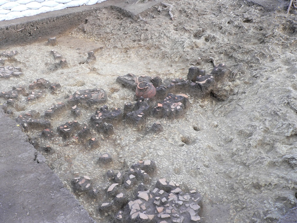第1号墳の発掘調査