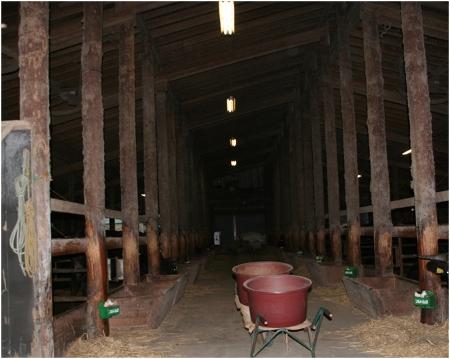 牛小屋の写真