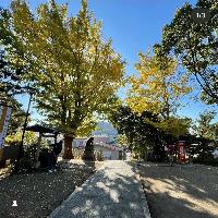 eriko_pic