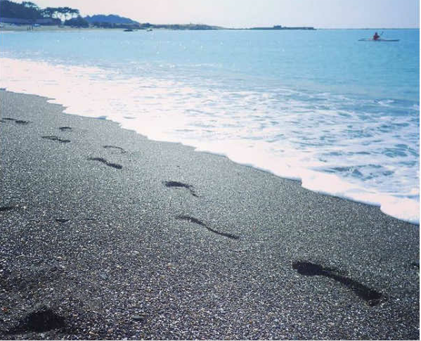一色海岸の砂浜についた足跡