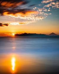 morrie_pic
