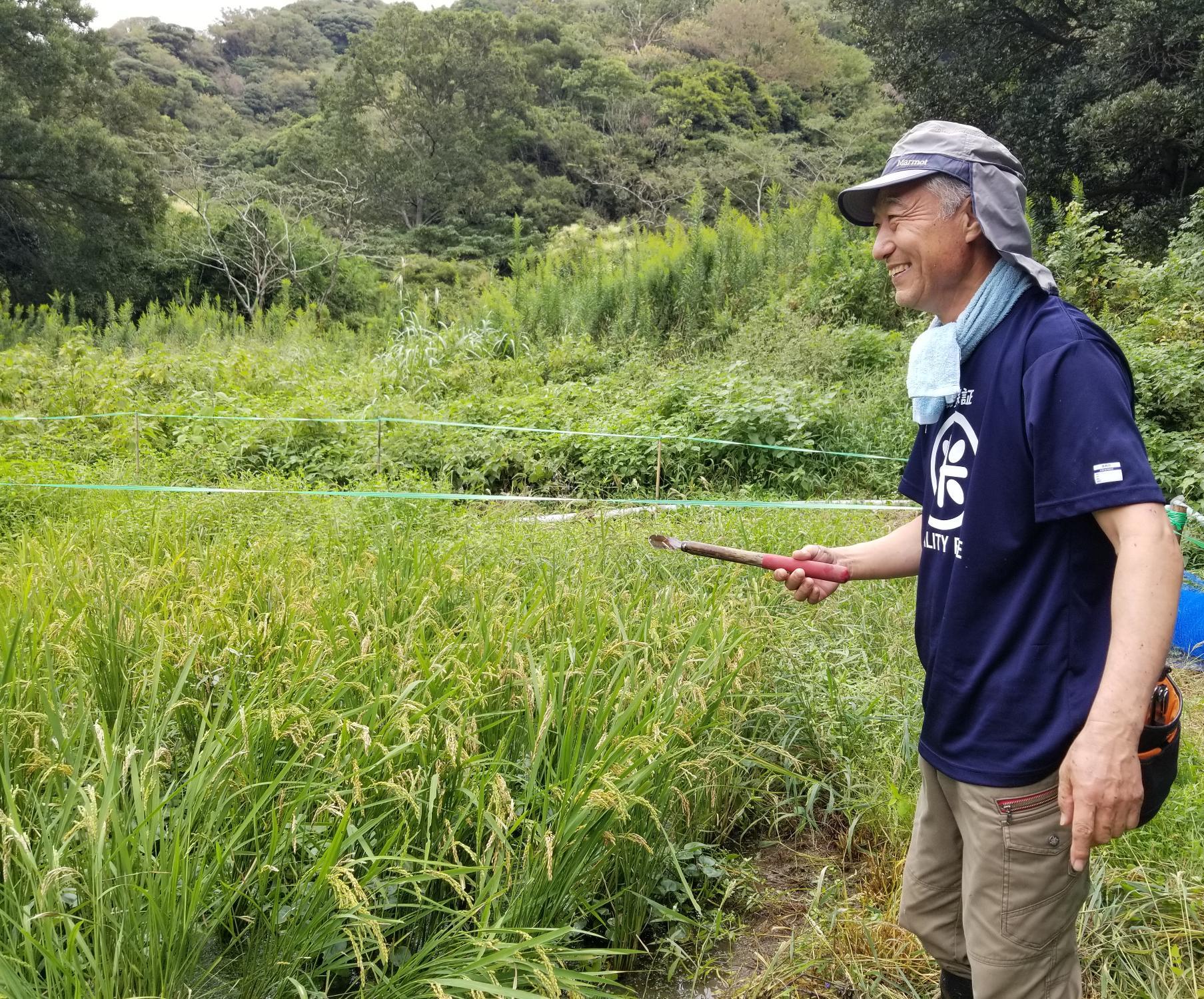 三井さん