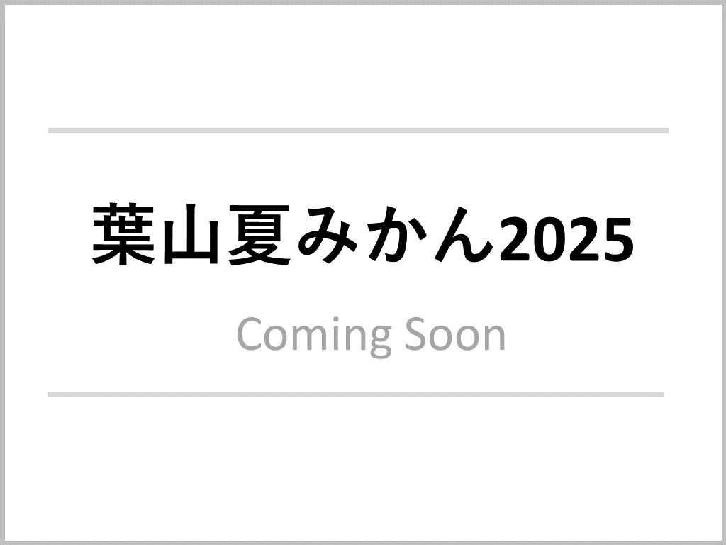 葉山夏みかん2025