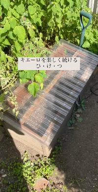 niji_pic