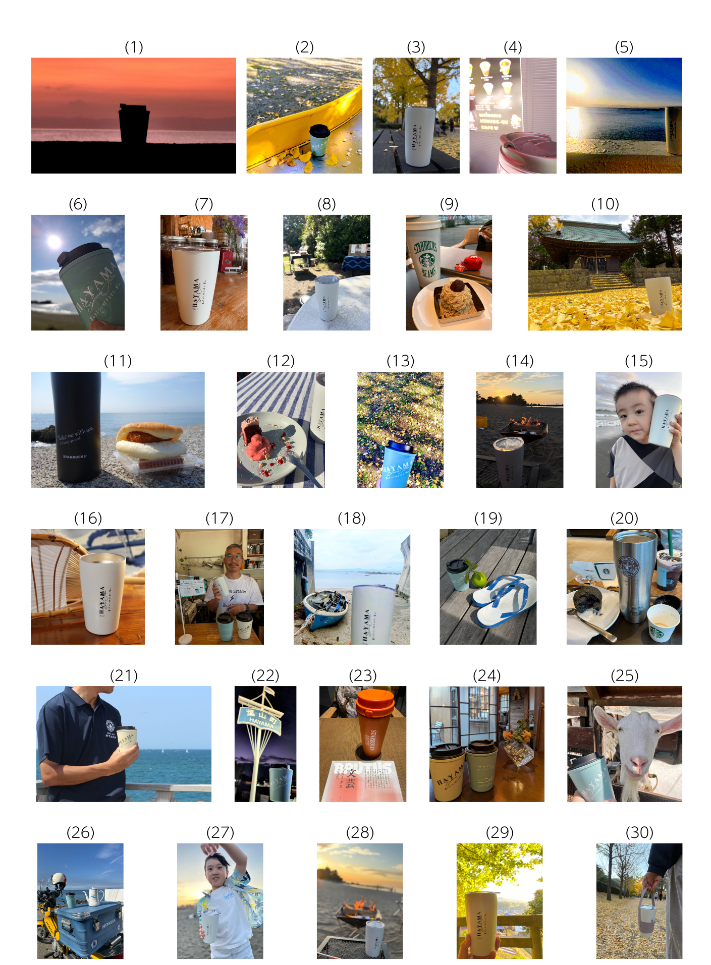 写真の応募作品