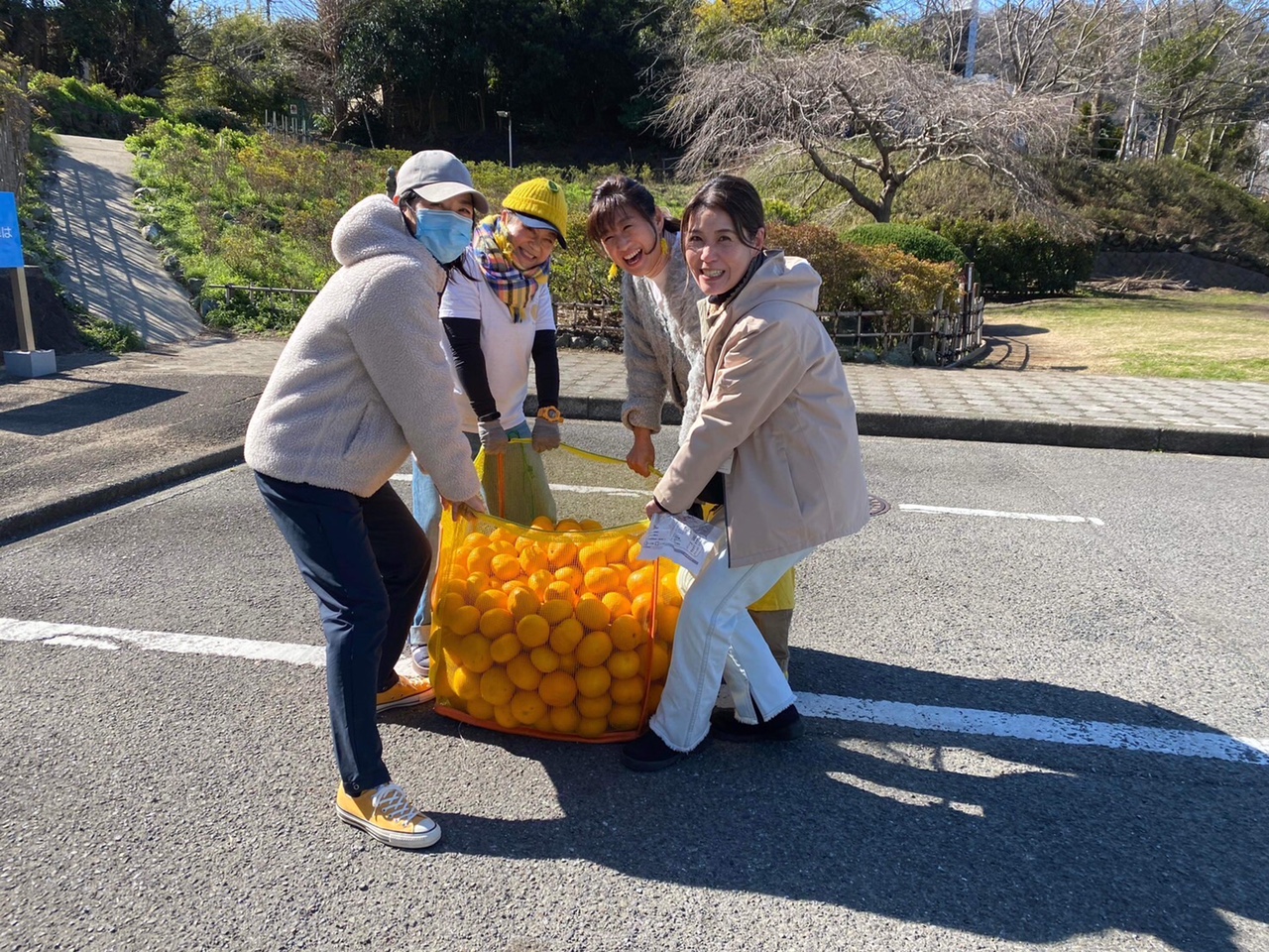 2025夏みかん収穫祭