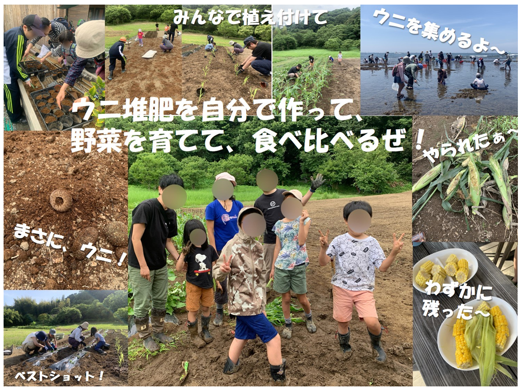 ウニ堆肥を自分で作って、野菜を育てて食べ比べてみよう！