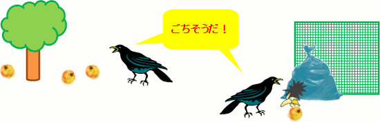 落果やくず野菜を放置しておくと餌付けしていると思うカラスのイラスト