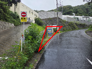 配布場所
