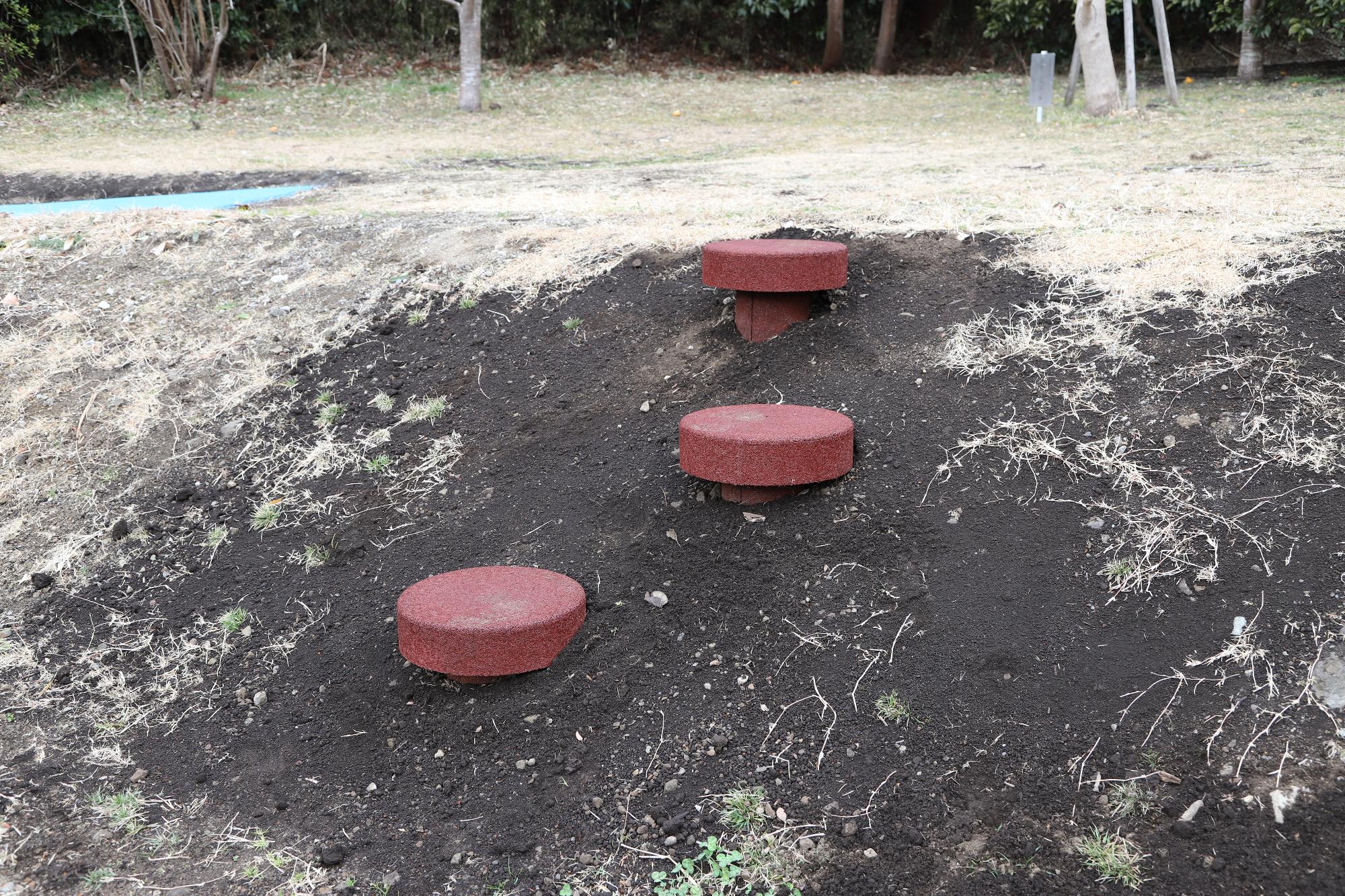 ラバーステップ