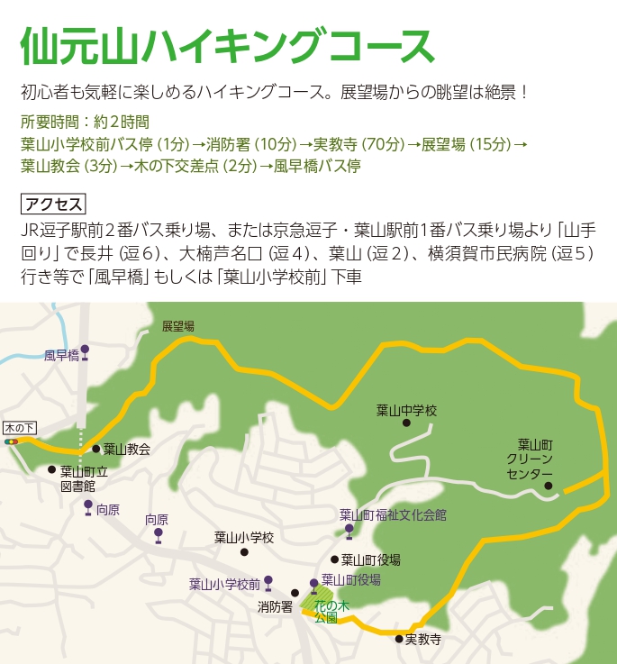 仙元山ハイキングコース