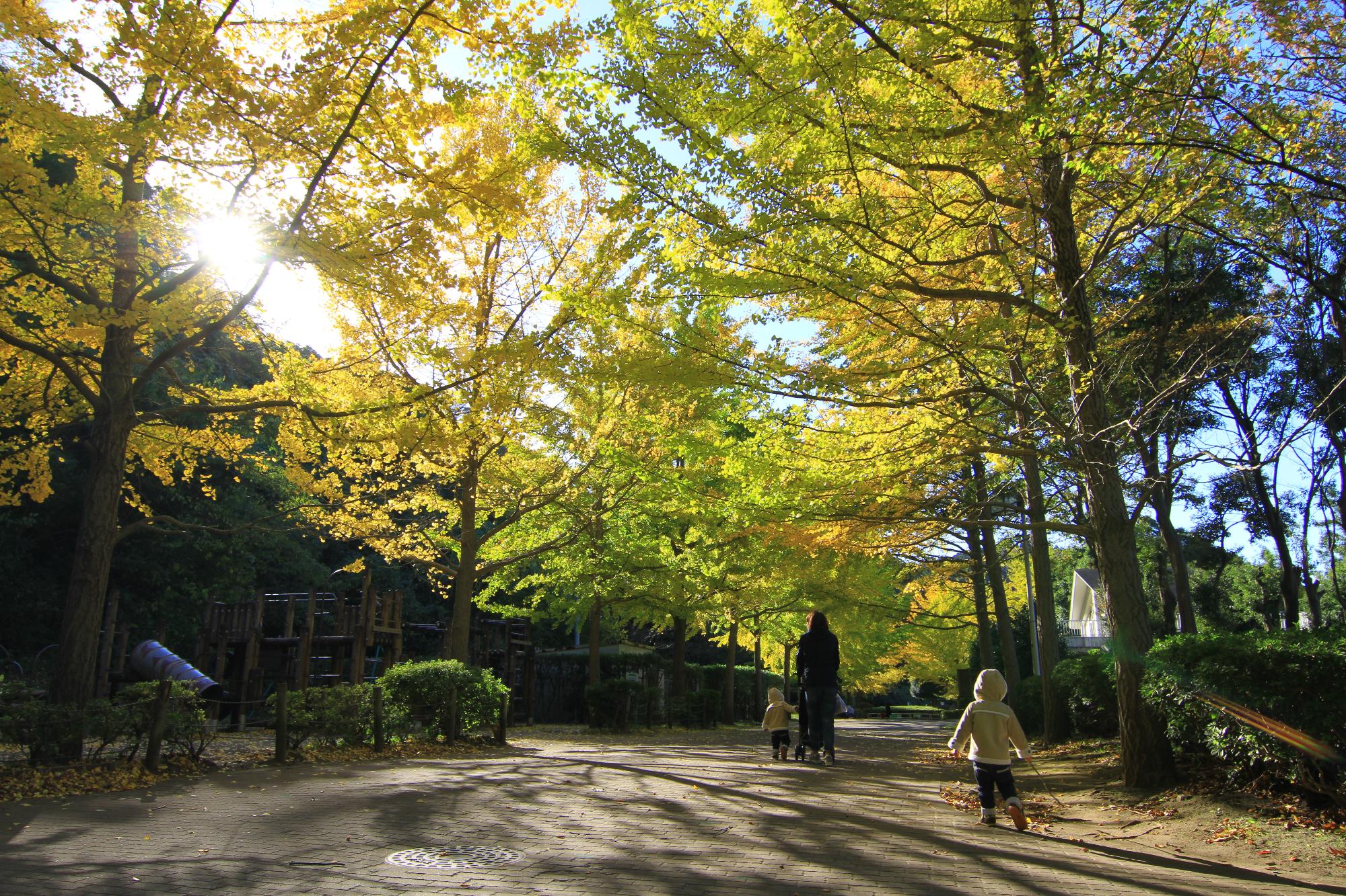 南郷公園