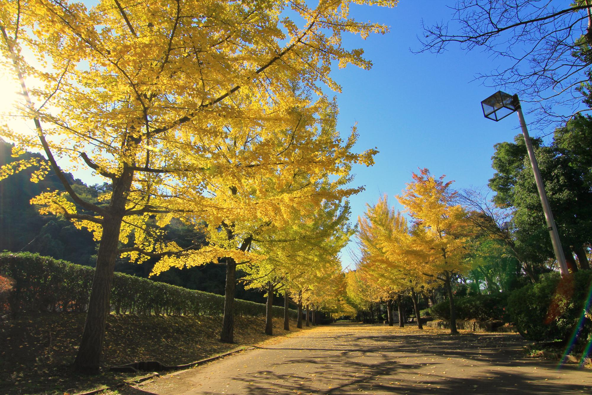 南郷公園