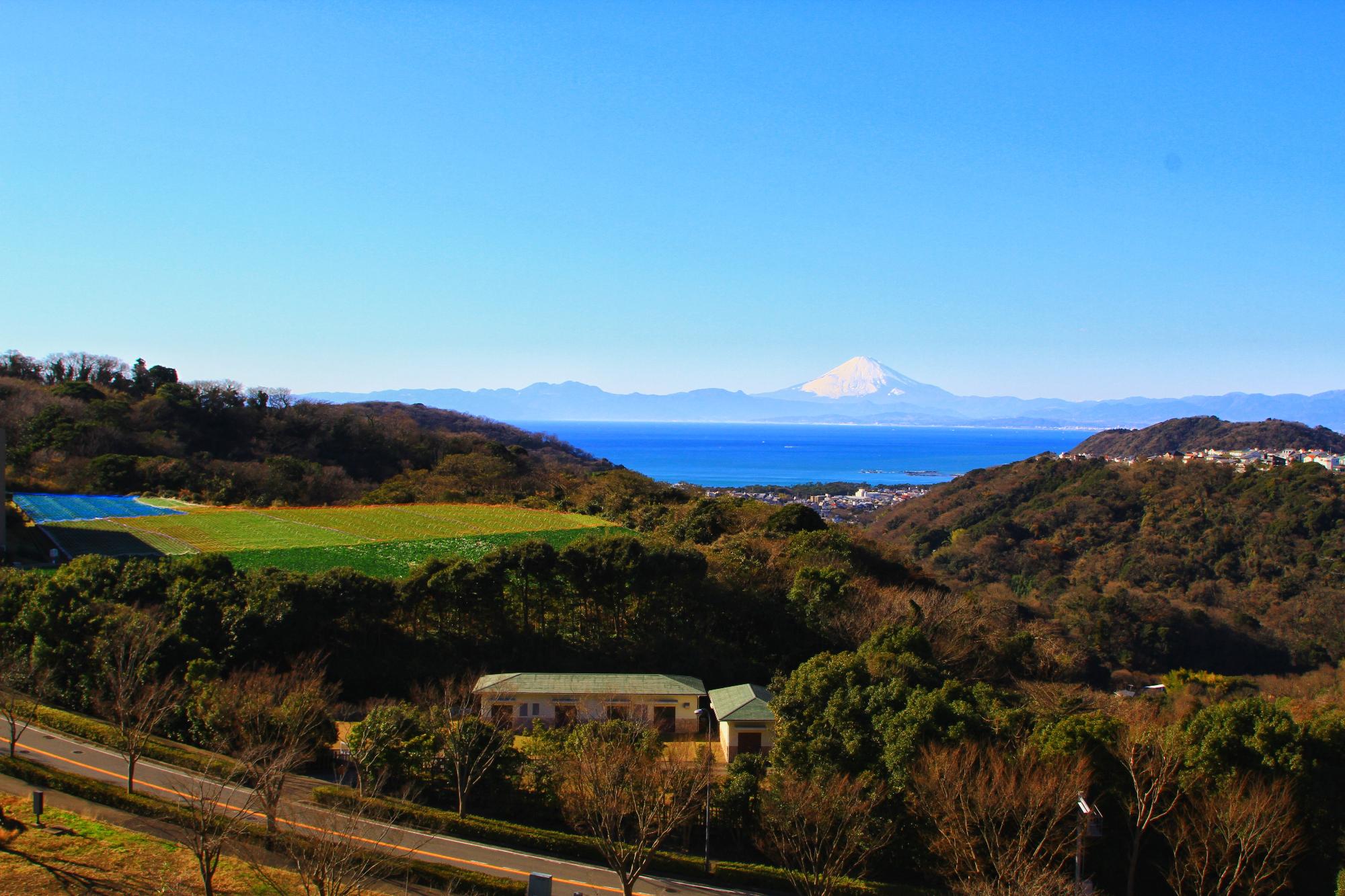 湘南国際村